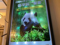 -眉州东坡(通州店)