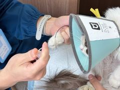 -爱派特动物医院·全科诊疗中心