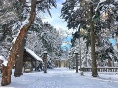 -北海道神宫