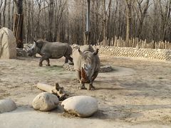 -北京野生动物园