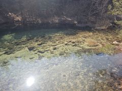 -无染寺