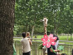 -合肥野生动物园