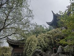 -芥子园
