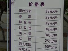 -金谷域澳洲庄园