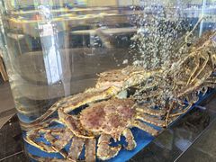 -悦来轩顺德菜(寮厦店)