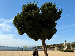 -青岛汇泉商业广场