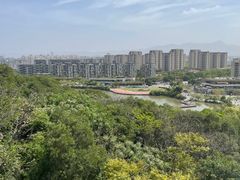 -飞凤山奥体公园