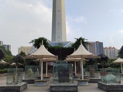 -陕西自然博物馆