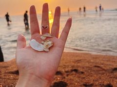 -巧克力渔家.小船海鲜家常菜(万平口店)