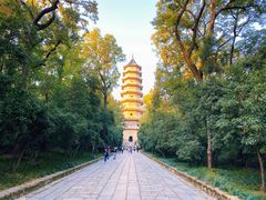-灵谷景区