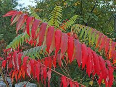 -云岫谷游猎自然风景区