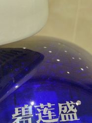 -碧莲盛·不剃发植发