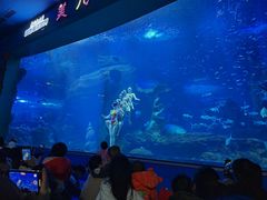 -多彩贵州城极地海洋世界