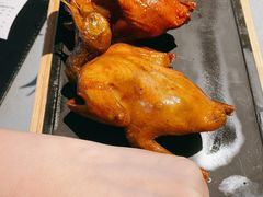 -大鸽饭(岗顶店)