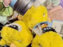 -大连圣亚海洋世界