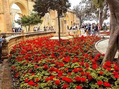 -上巴拉卡花园和下巴拉卡花园