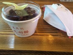 -清真马记宫廷奶酪(广渠门内大街店)