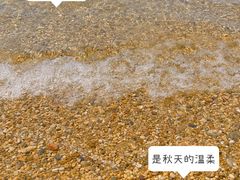 -傅家庄公园