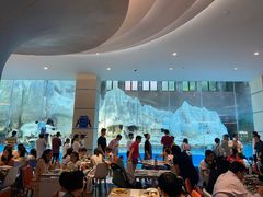 -帝企鹅自助餐厅•儿童岛•真企鹅(长隆企鹅酒店)