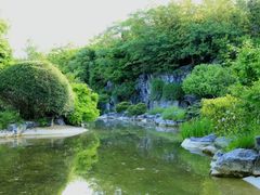 -上海吴淞炮台湾国家湿地公园