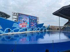 -上海海昌海洋公园