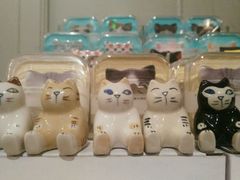 -猫咪博物馆(顶澳仔猫街店)