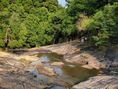 -广州白江湖森林公园