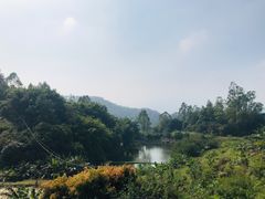 -天强农家菜馆