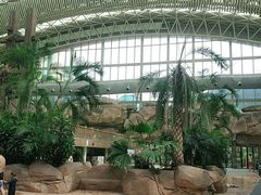 -杭州开元森泊度假乐园