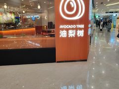 -油梨树 AVOCADO TREE(亮马桥店)