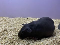 -昆明大悦城未来动物城(螺蛳湾中心店)