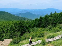 -白草畔自然风景区