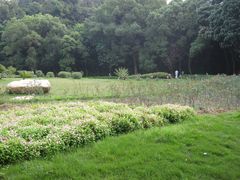 -广州市干部健康管理中心