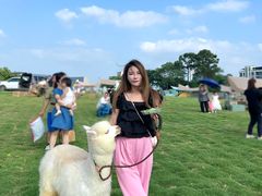 -南京外国语学校(仙林分校西区)