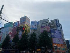 -秋叶原电器街