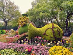 -杭州植物园