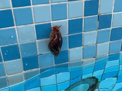 -惠州金海湾嘉华度假酒店