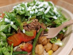 -油梨树 AVOCADO TREE(亮马桥店)