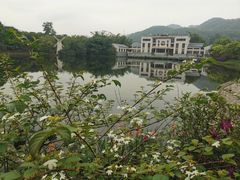-大屏嶂森林公园