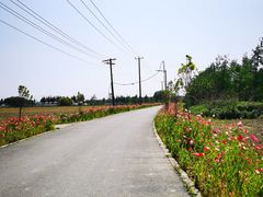 -嘉北郊野公园