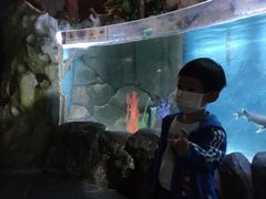 -苏州海洋馆
