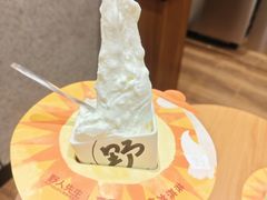 -野人先生现做冰淇淋(北京环宇荟店)