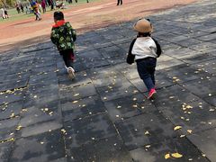 -辽宁大学(崇山校区)
