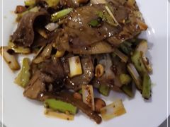 -侯记双流蘸水肥肠(阆中店)