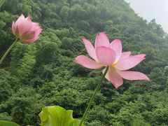 -将军关探险漂流