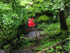 -凤凰山国家森林公园