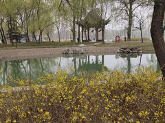 -达活泉公园