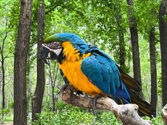 -北京野生动物园