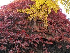 -辽宁大学(崇山校区)