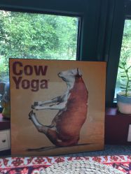 -Union瑜伽健康管理中心